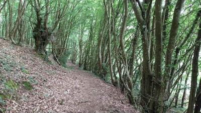 01/06/2025 Bretoncelles