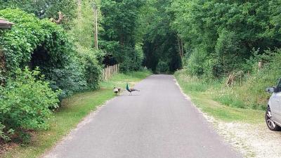 01/06/2025 Bretoncelles