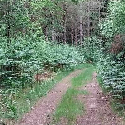 01/06/2025 Bretoncelles