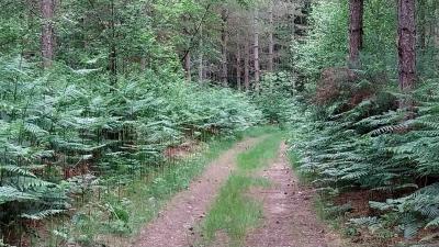 01/06/2025 Bretoncelles