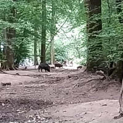 01/06/2025 Bretoncelles