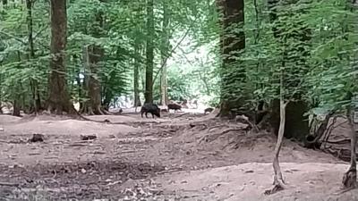 01/06/2025 Bretoncelles