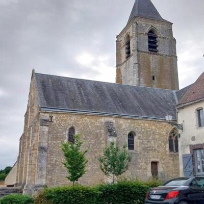 15/06/2025 Mâle