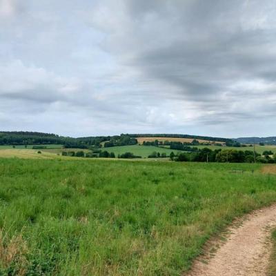 15/06/2025 Mâle