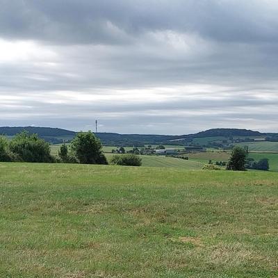 15/06/2025 Mâle