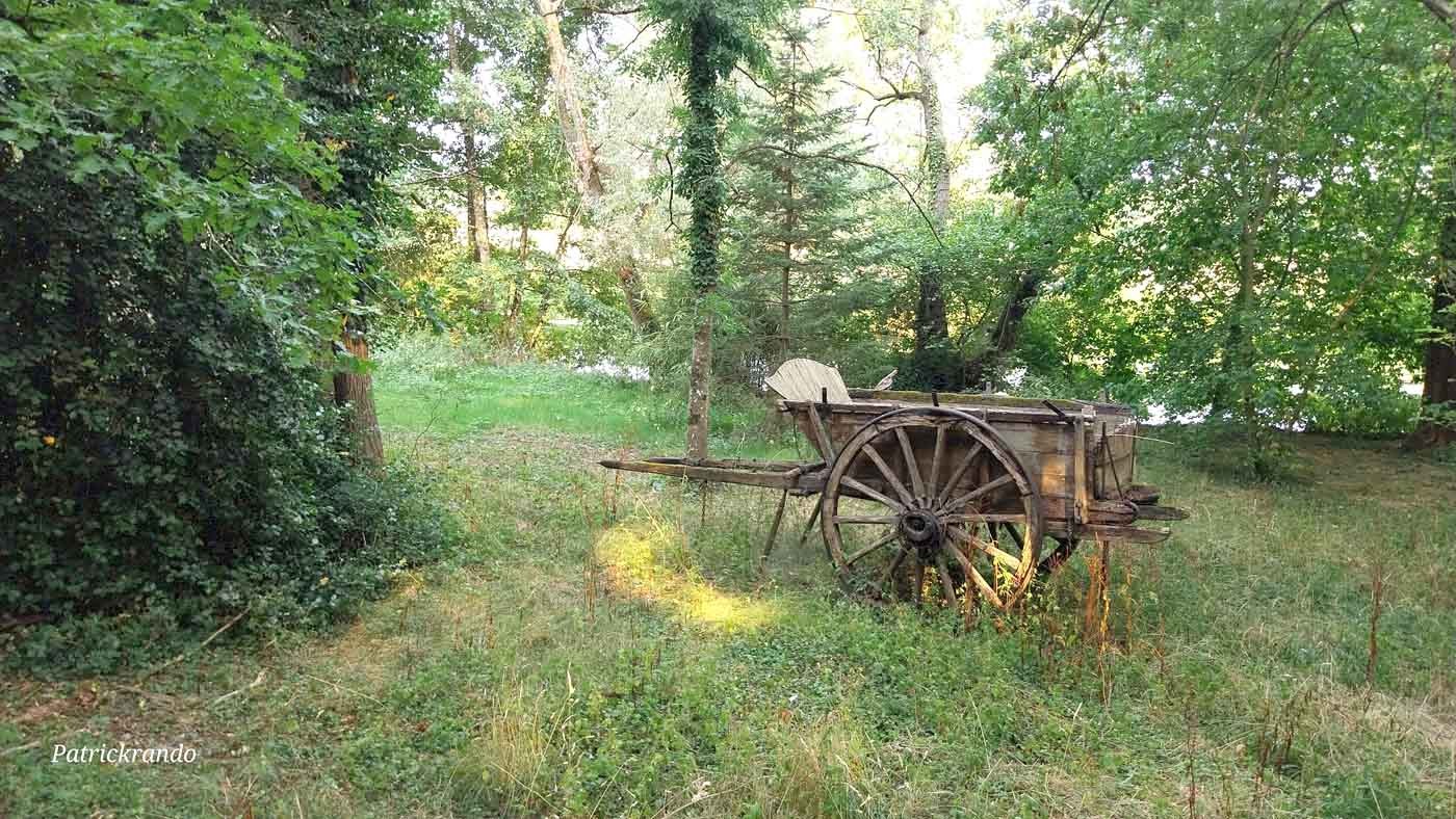 17/08/2025 St Maur sur le Loir