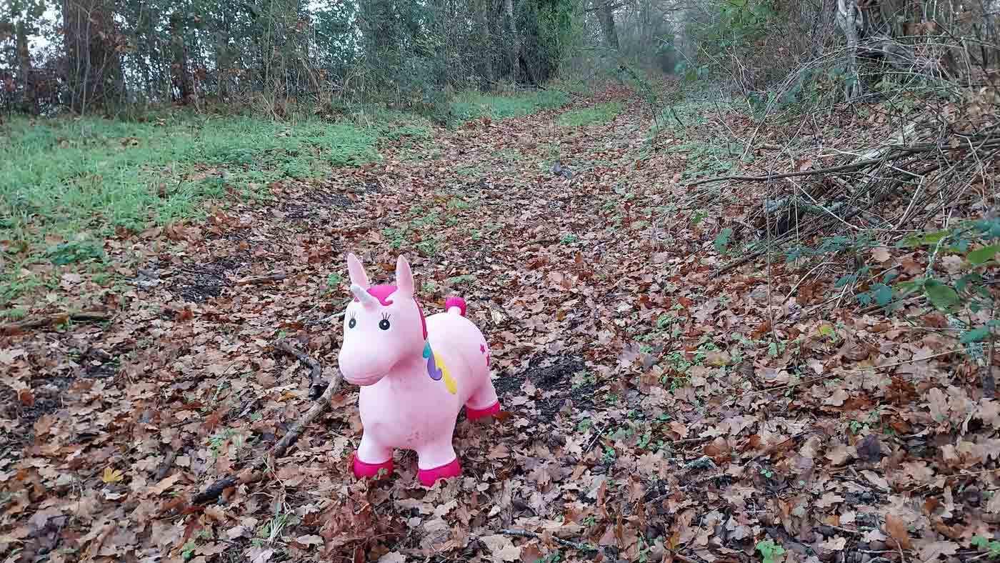 26/11/2025 La Fourche