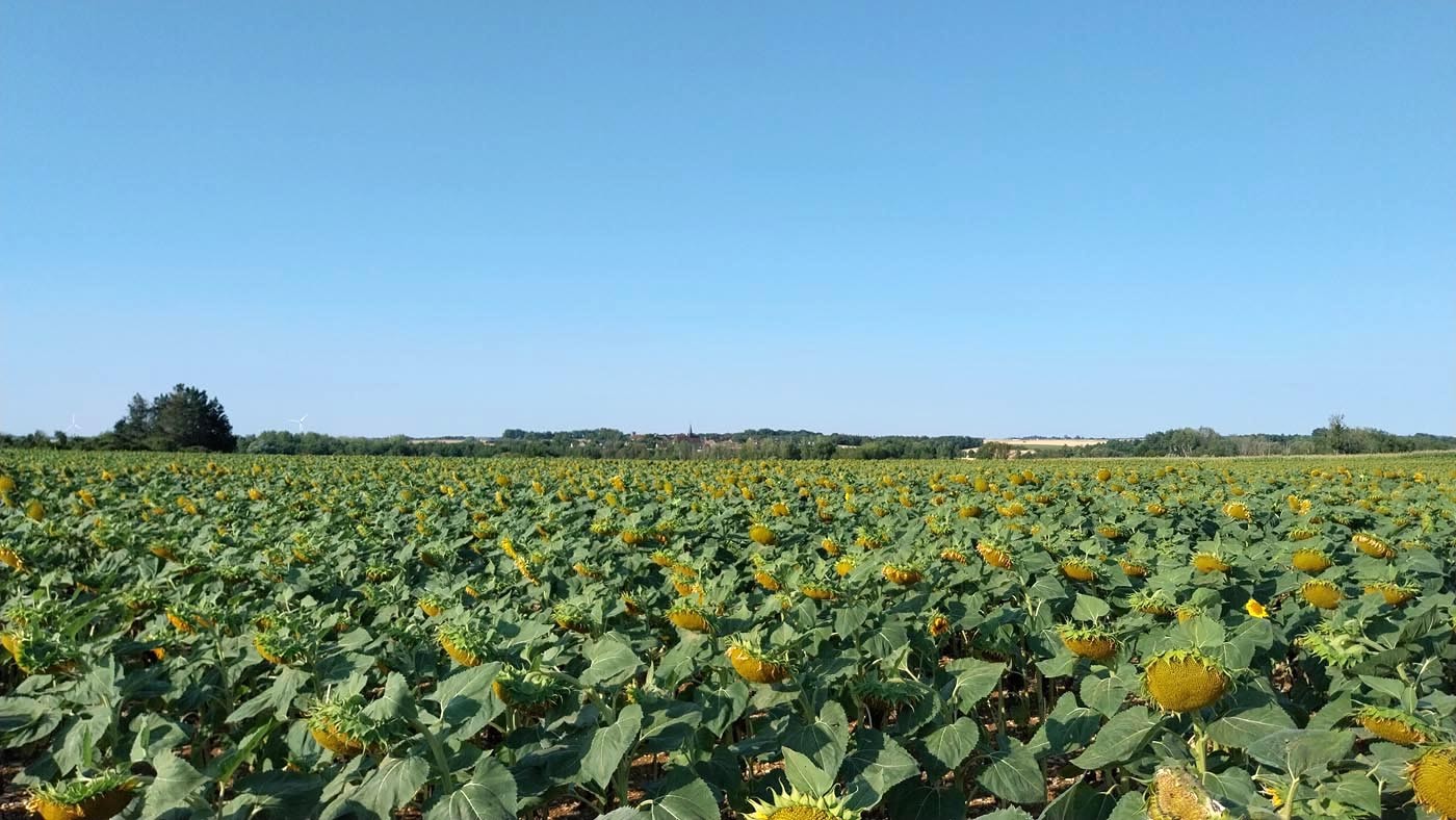 22/07/2026 La Ferté Villeneui