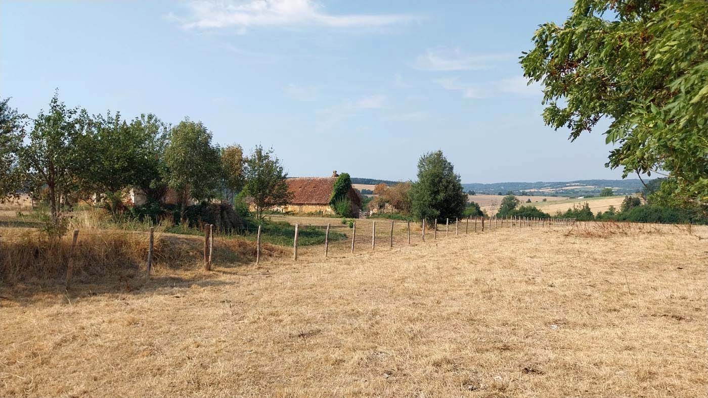 16/08/2026 Mâle