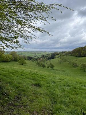 28/04/2024 Ticheville