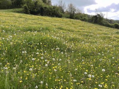 28/04/2024 Ticheville