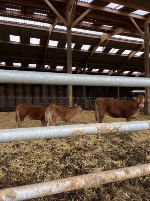 28/04/2024 Ticheville