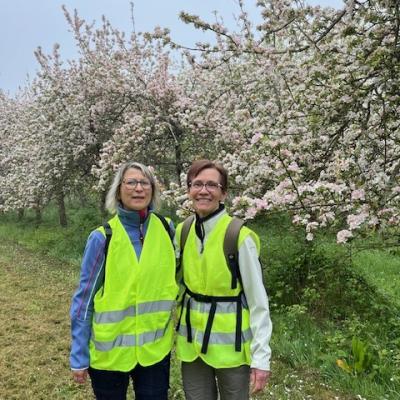 27/04/2025 Pommiers en fleurs
