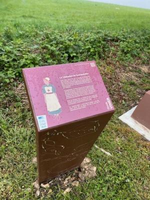 27/04/2025 Pommiers en fleurs