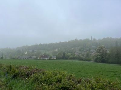 27/04/2025 Pommiers en fleurs