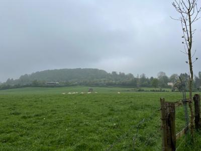 27/04/2025 Pommiers en fleurs