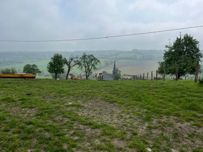 27/04/2025 Pommiers en fleurs