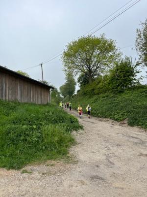 27/04/2025 Pommiers en fleurs