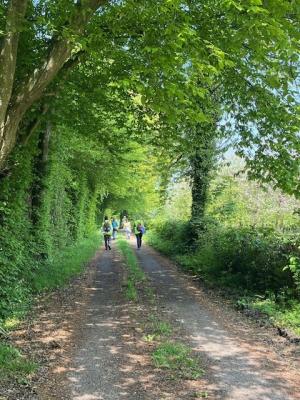 27/04/2025 Pommiers en fleurs