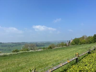 27/04/2025 Pommiers en fleurs