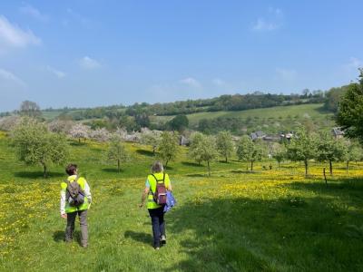 27/04/2025 Pommiers en fleurs