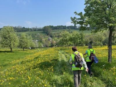 27/04/2025 Pommiers en fleurs