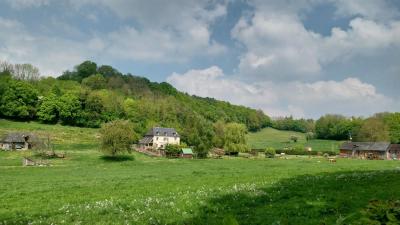 27/04/2025 Pommiers en fleurs