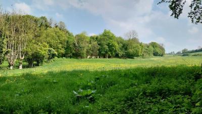 27/04/2025 Pommiers en fleurs