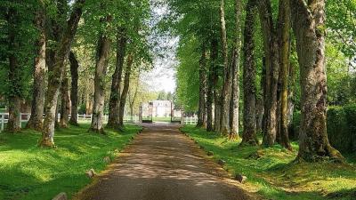 27/04/2025 Pommiers en fleurs