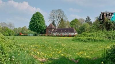 27/04/2025 Pommiers en fleurs