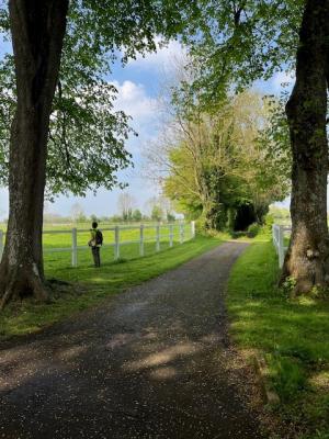 27/04/2025 Pommiers en fleurs
