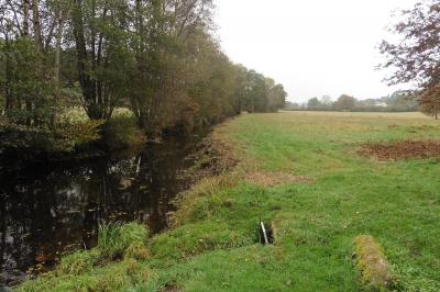 La grande verriere le mechet 2