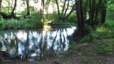 02/07/2022 Ste Suzanne