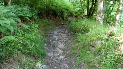 02/07/2022 Ste Suzanne