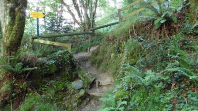 02/07/2022 Ste Suzanne