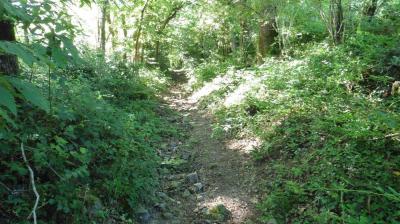 02/07/2022 Ste Suzanne