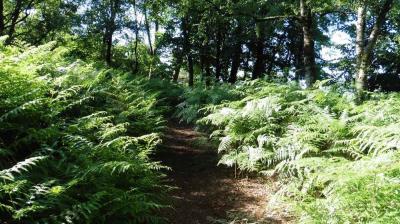 02/07/2022 Ste Suzanne