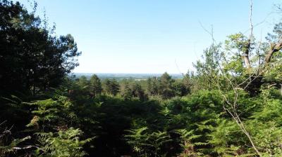 02/07/2022 Ste Suzanne