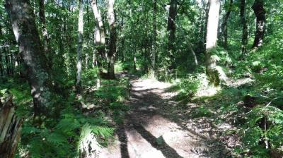 02/07/2022 Ste Suzanne