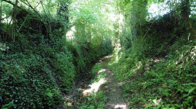 02/07/2022 Ste Suzanne