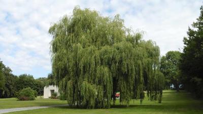 02/07/2022 Ste Suzanne