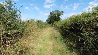 02/07/2022 Ste Suzanne