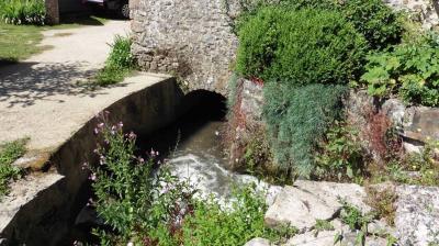 02/07/2022 Ste Suzanne