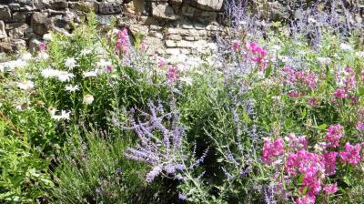 02/07/2022 Ste Suzanne