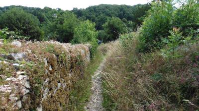 02/07/2022 Ste Suzanne