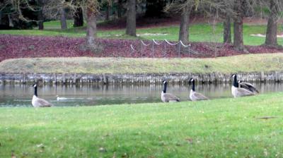 19/02/2023 La Chaussée d'Ivry