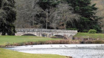 19/02/2023 La Chaussée d'Ivry