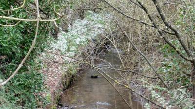 19/02/2023 La Chaussée d'Ivry