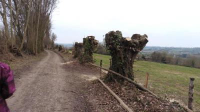 05/03/2023 Souvigné sur Même