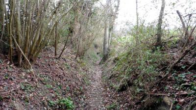 05/03/2023 Souvigné sur Même